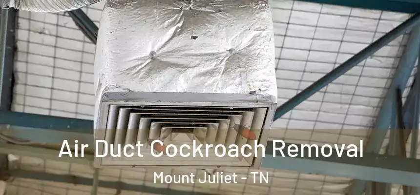  Air Duct Cockroach Removal Mount Juliet - TN