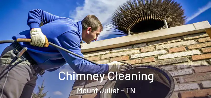  Chimney Cleaning Mount Juliet - TN