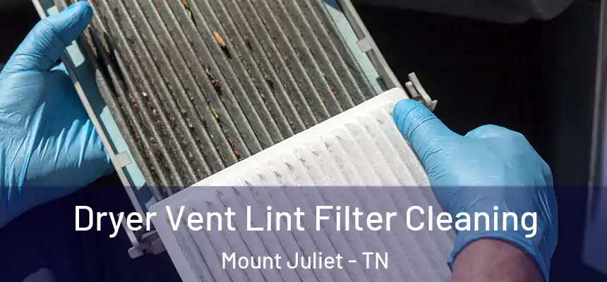  Dryer Vent Lint Filter Cleaning Mount Juliet - TN