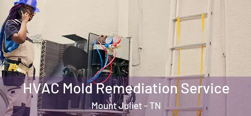 HVAC Mold Remediation Service Mount Juliet - TN