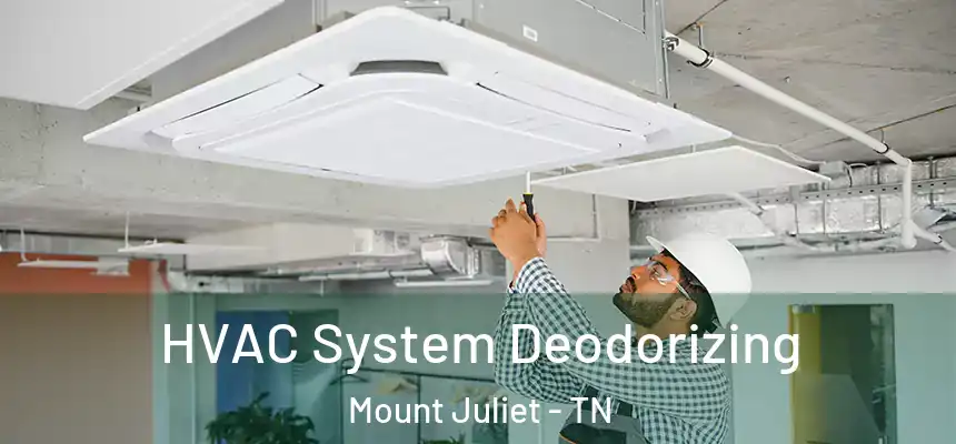  HVAC System Deodorizing Mount Juliet - TN