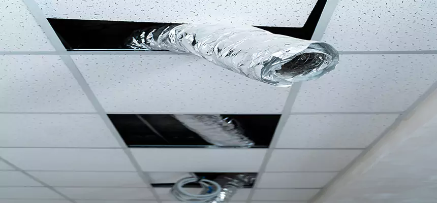 Affordable HVAC Sanitizing After Pest Removal in Mount Juliet