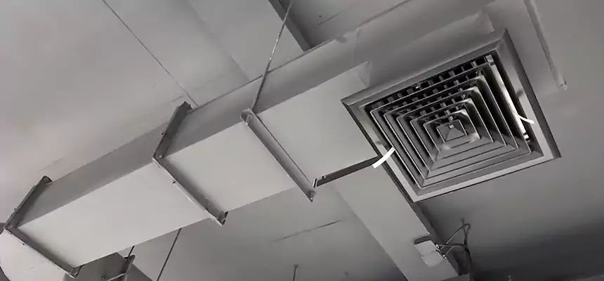 Our Pest Removal From Ducts Services in Mount Juliet, TN