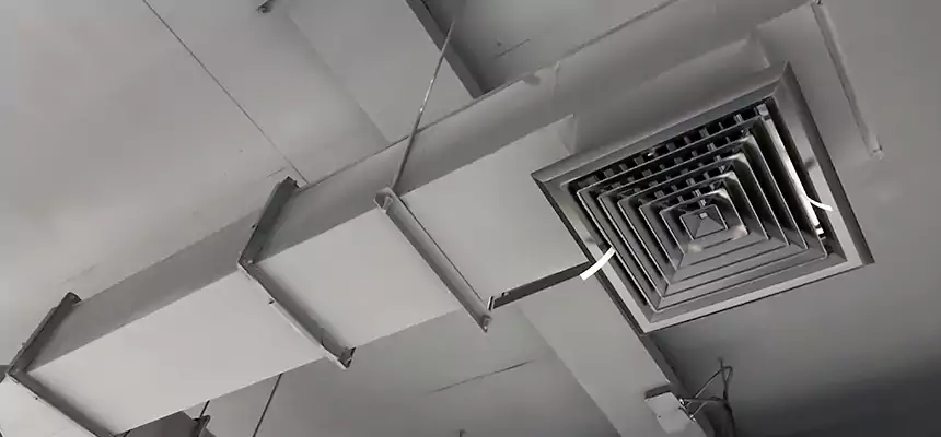 Our Rodent Droppings In Vents Services in Mount Juliet, TN