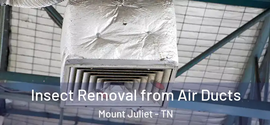 Insect Removal from Air Ducts Mount Juliet - TN