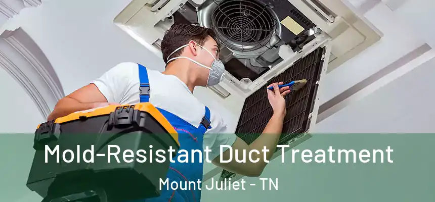  Mold-Resistant Duct Treatment Mount Juliet - TN
