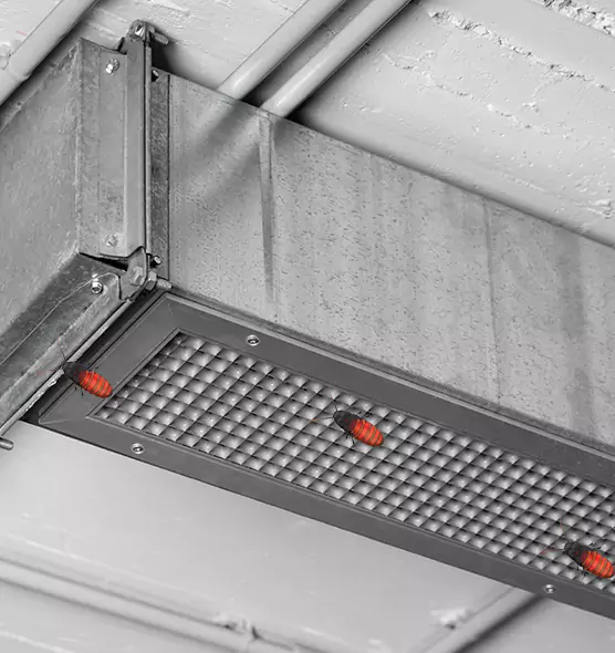 About Air Duct Cockroach Removal in Mount Juliet, TN