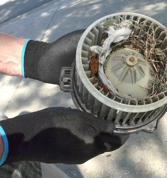 About Air Duct Mice Removal in Mount Juliet, TN