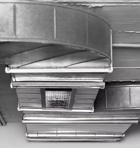 Professional Air Duct Pet Hair Removal in Mount Juliet, TN