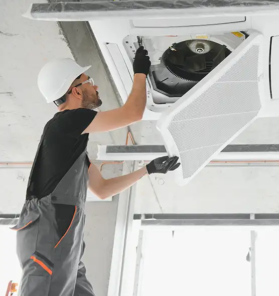 About Air Duct Rodent Removal in Mount Juliet, TN