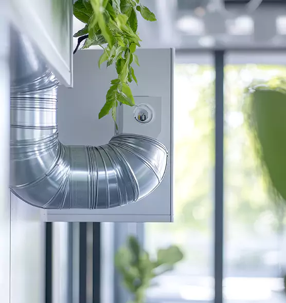 Professional Eco-Safe Dryer Vent Cleaning in Mount Juliet, TN