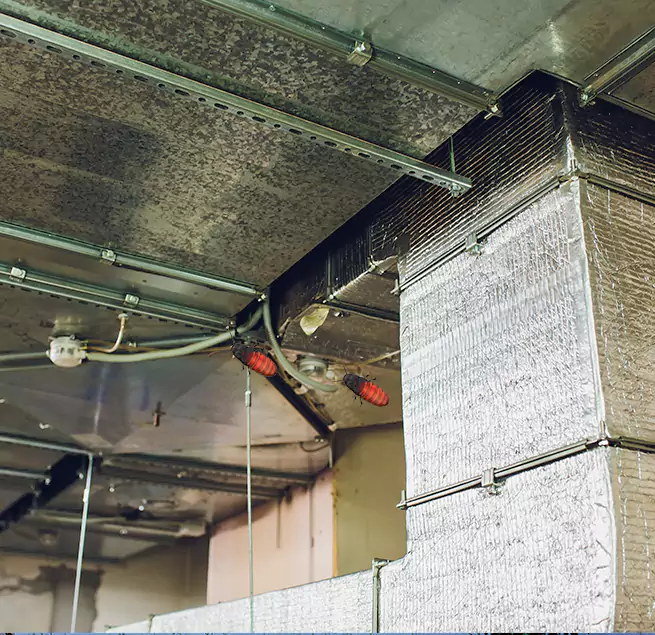 Why Homeowners & Businesses Trust Us in Mount Juliet, TN?