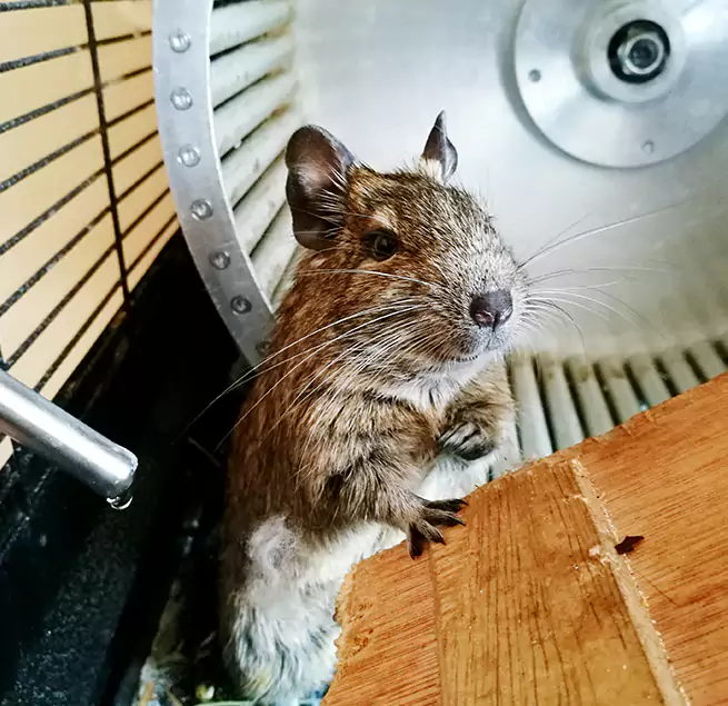 Why Homeowners & Businesses Trust Us Mount Juliet, TN