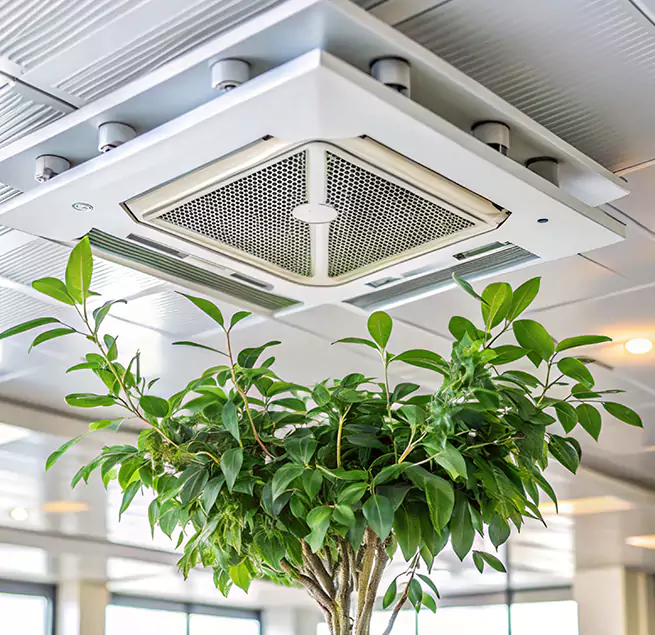 Why Homeowners & Businesses Trust Us in Mount Juliet, TN?