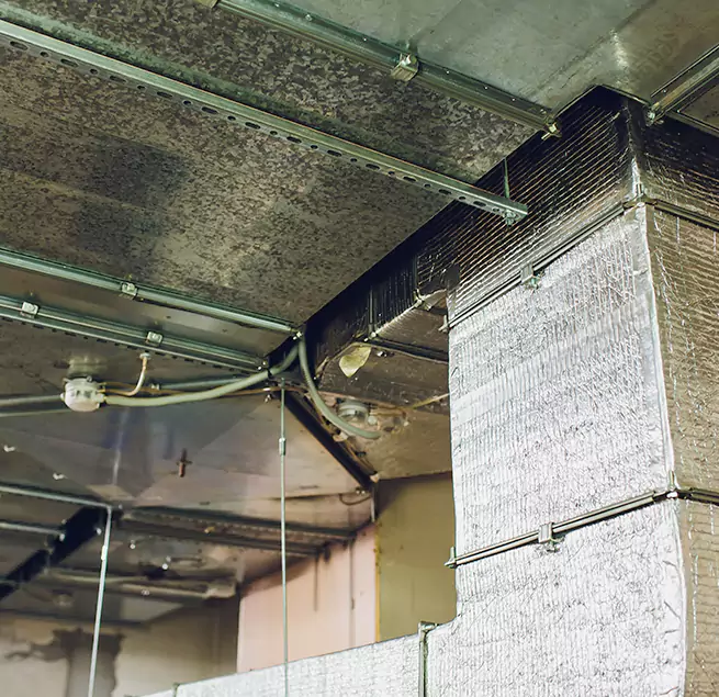 Why Homeowners & Businesses Trust Us in Mount Juliet, TN?