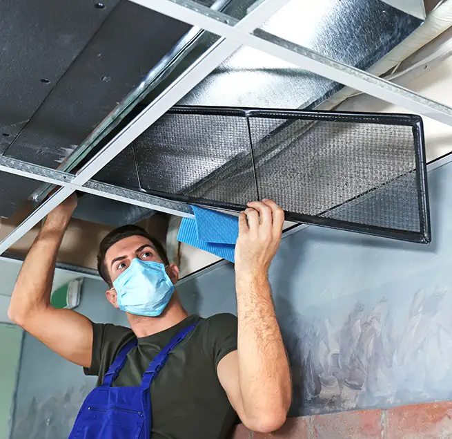 Why Homeowners & Businesses Trust Us in Mount Juliet, TN?