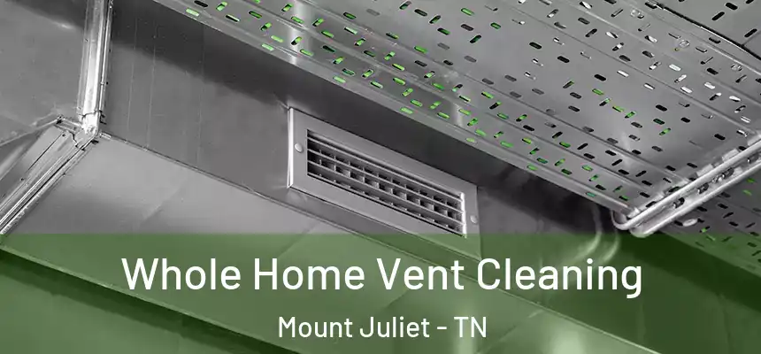 Whole Home Vent Cleaning Mount Juliet - TN